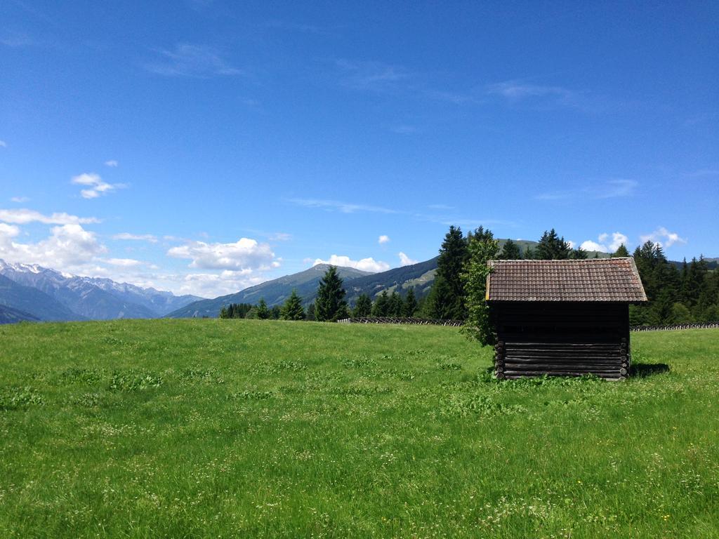Biobauernhof Kleinummerstall มิทเทอร์ซิลล์ ภายนอก รูปภาพ
